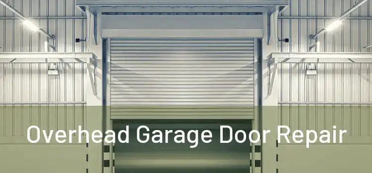  Overhead Garage Door Repair 