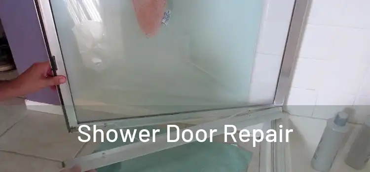  Shower Door Repair 